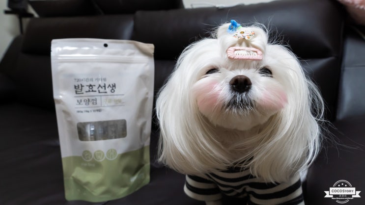  강아지영양껌! 발효선생 보양껌~ 치석관리와 관절 및  피부건강까지 챙기기
