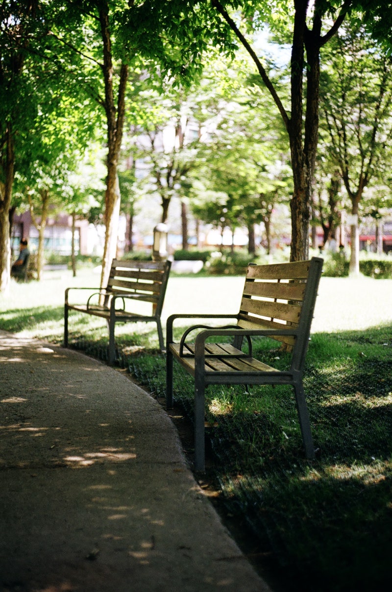 [라이카 M6 TTL]라이카 M6TTL+LEICA Summicron 50mm f2 DR , 코닥 프로이미지100