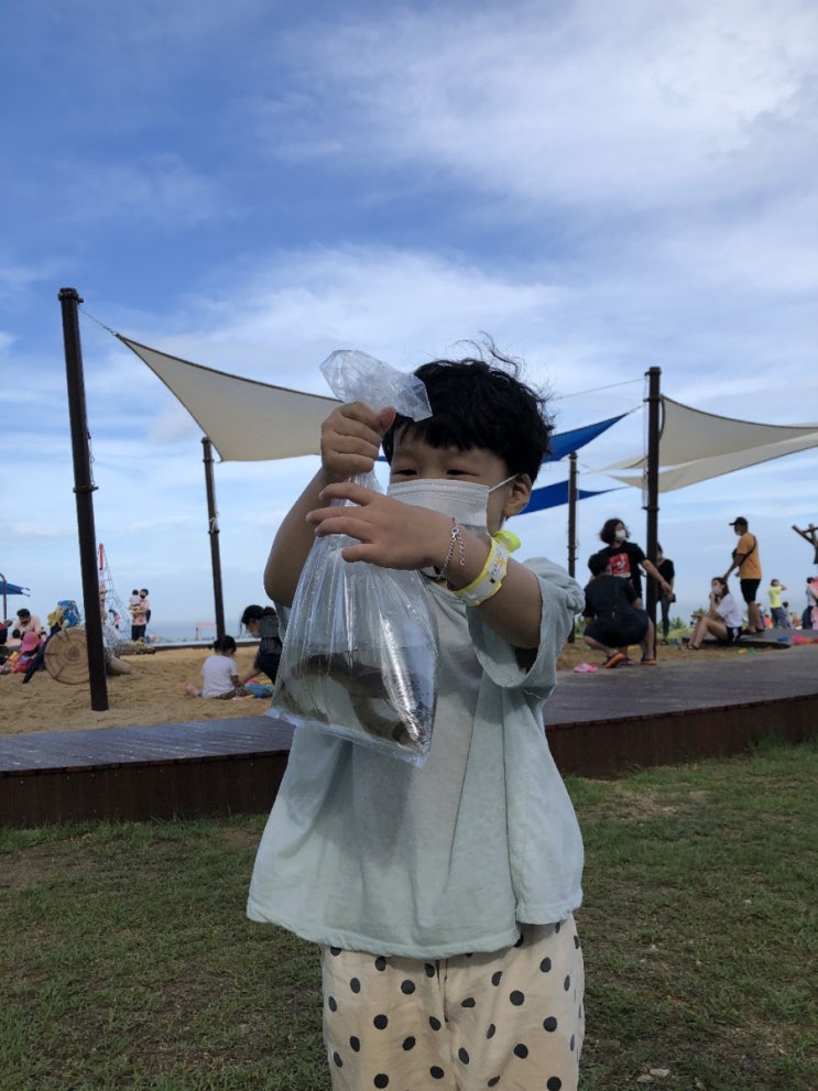  대왕암 대왕별 아이누리