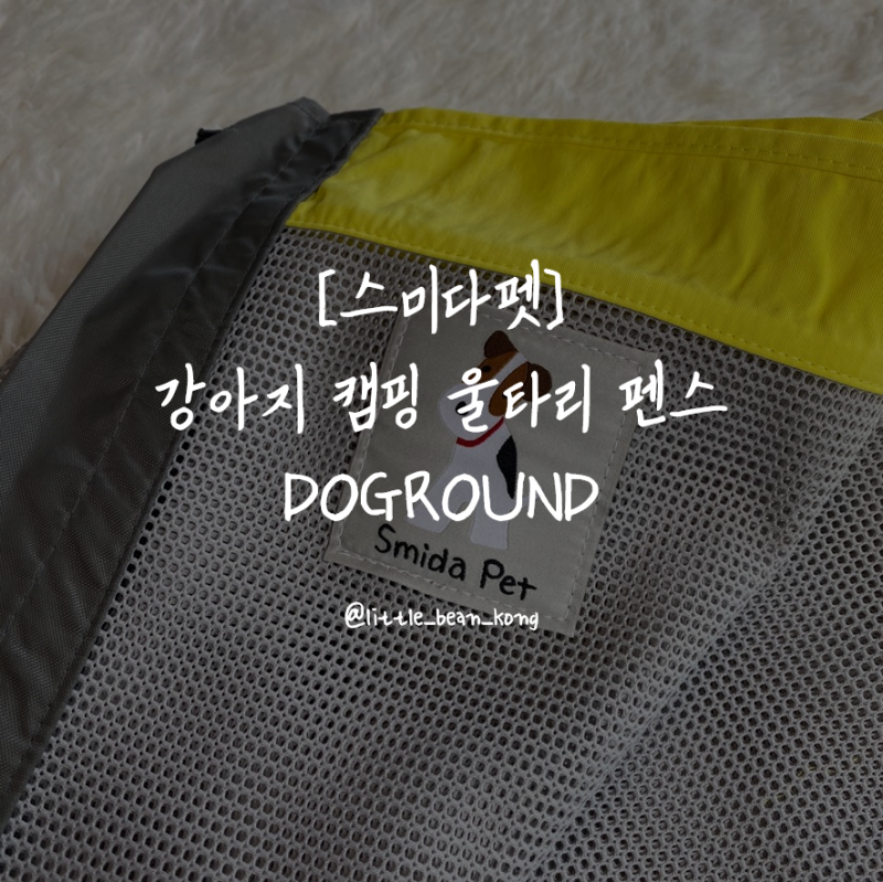 사진 2