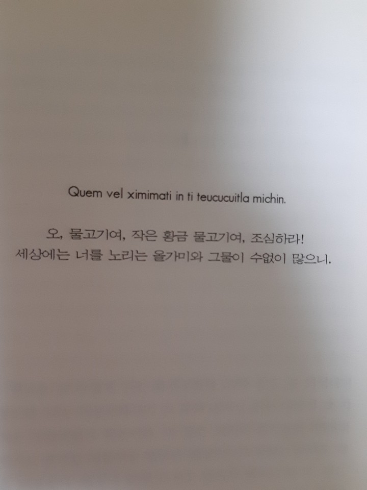  [소설]황금물고기 책리뷰