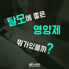  탈모 머리빠짐 필수영양제 2편 : 이노시톨 MSM 맥주효모 탈모영양제 부작용권장량