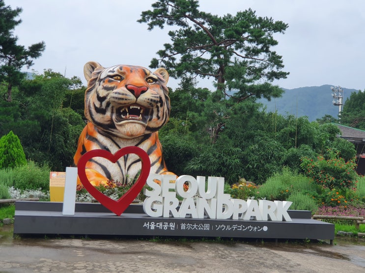  서울 대공원 가기