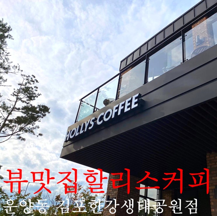  김포 운양동 뷰맛집, 이국적인 전원주택 & 생태공원뷰 할리스커피 김포생태공원점