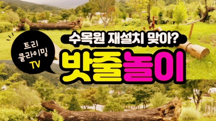  수목원 유아 숲체험장 밧줄 놀이 재설치 답사했어요[트리클라이밍연구소]