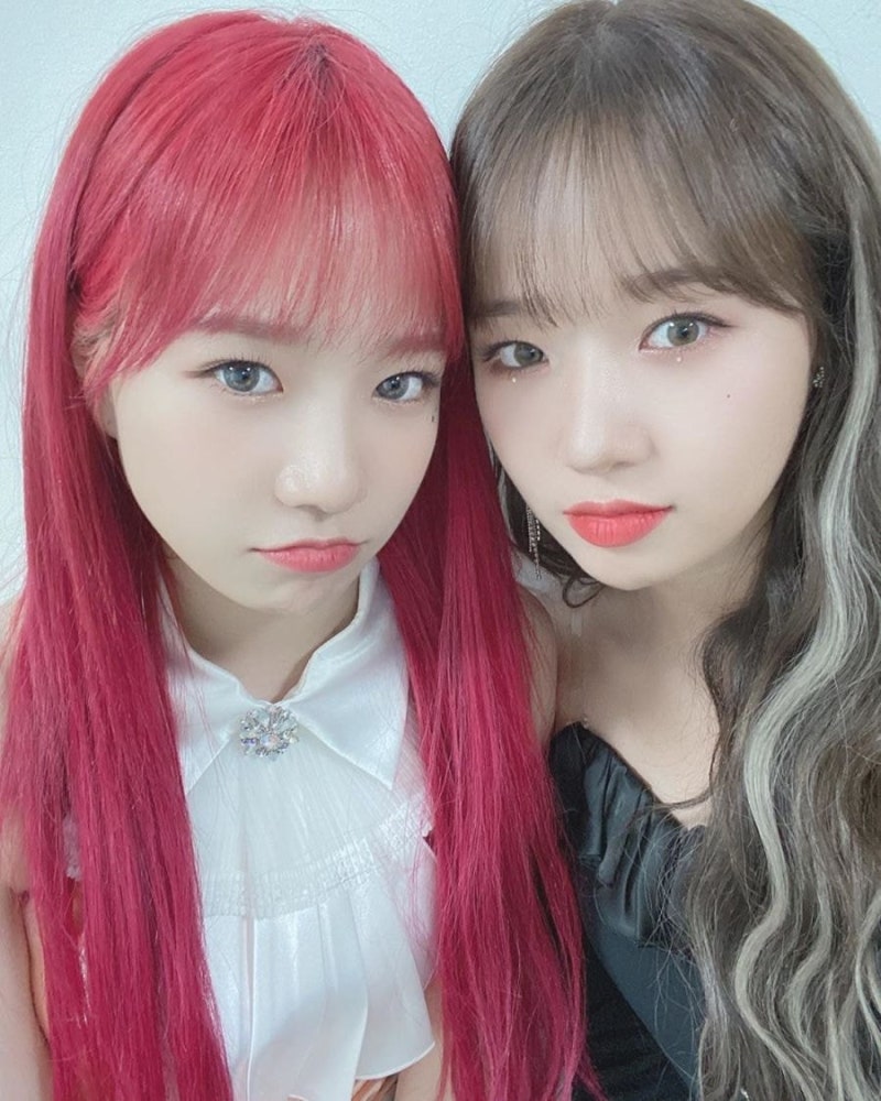 아이즈원 조유리 최유정 닮은꼴 인스타 위키미키