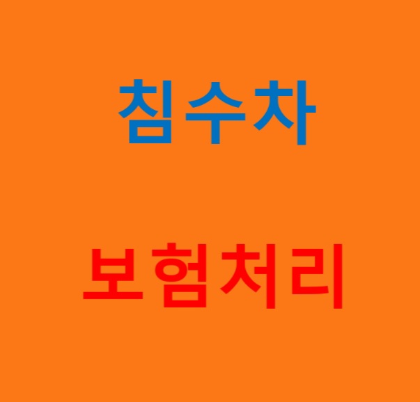  침수차 보험처리