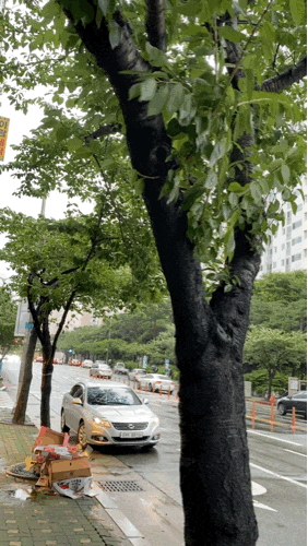 •부산날씨• 오늘 8월 10일 오후 6시 부산날씨