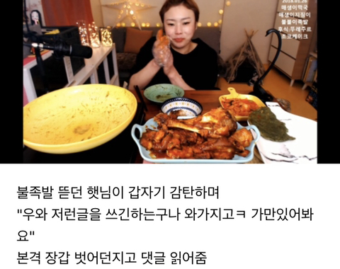 악플러에게 예의있게 대처하는 입짧은햇님