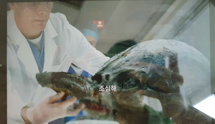  200811_영화보기 (영화"프로메테우스" 스포있음)