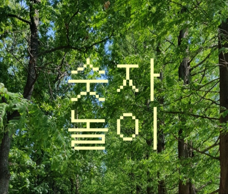  [그림]숫자 놀이