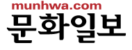 보험연, 자동차 보험 부담 증가…“경상환자 보상제도 개혁 필요” 보험연, 자동차 보험 부담 증가…“경상환자 보상제도 개혁 필요”