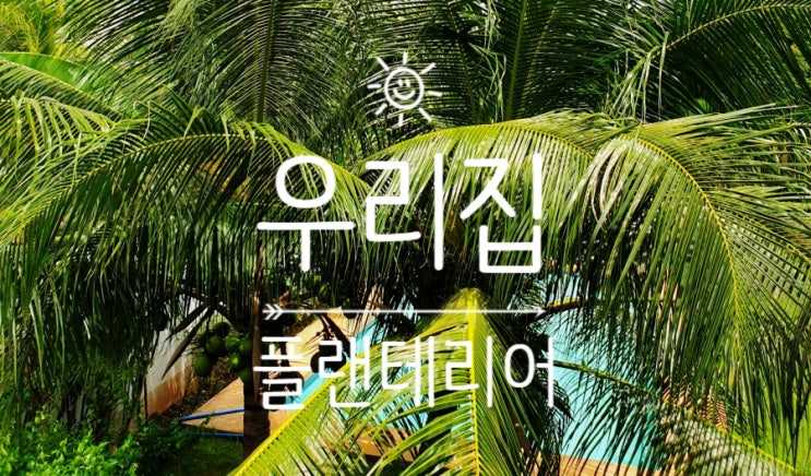  자연 친화적 보홀 플랜테리어 planterior [우리집 테라스를 소개합니다]