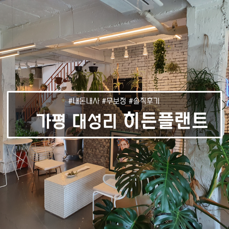  대성리역 인근 분위기 좋은 카페, 히든 플랜트