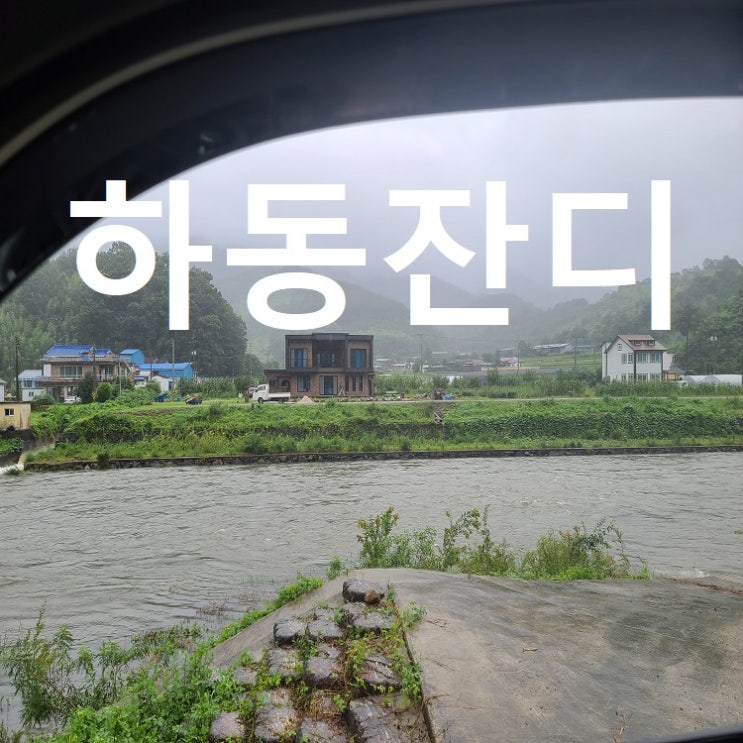  태풍 속에서 경남 하동에 잔디 배달 갔어요.