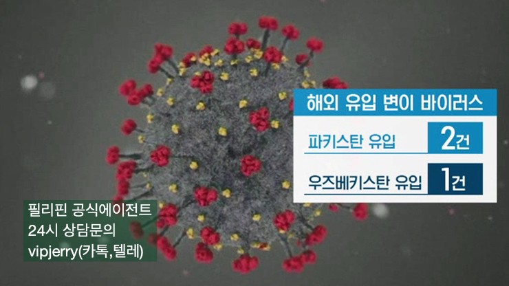  코로나 바이러스 변이 국내에서 발견?