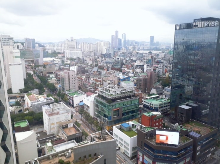  드디어 핵인싸템 먹음 성공일지 Daily Success Log Day159