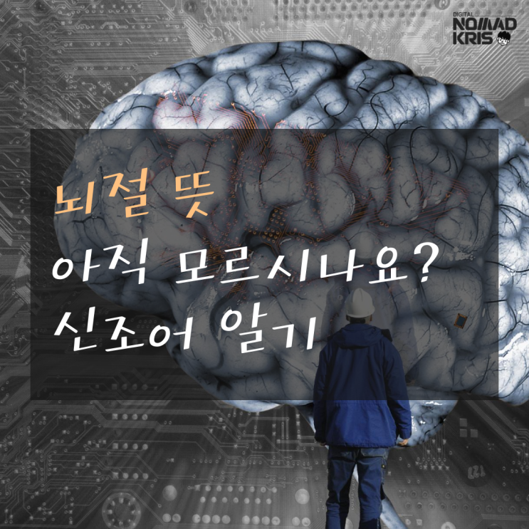  뇌절 뜻 아직 모르신다면 꼭 보세요