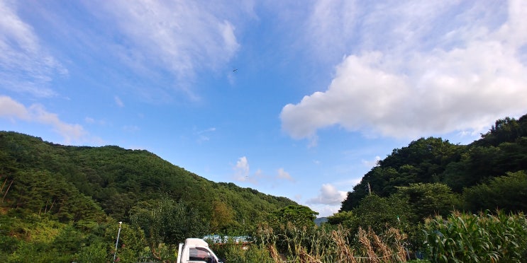  일상의 소중함