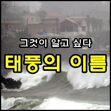  태풍 이름의 의미와 짓는 방법 어떻게 될까?