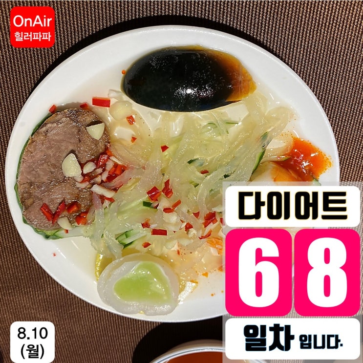 강남역 맛집 중식 맛집 일일향-68일 다이어트식단