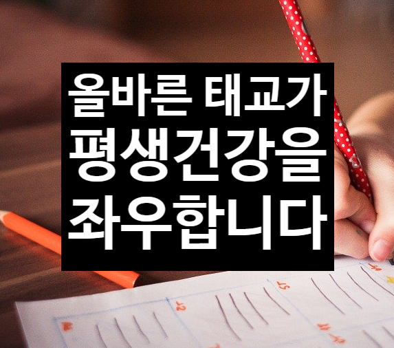  태교가 평생 건강을 좌우합니다