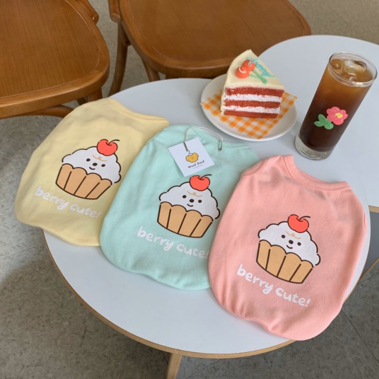  애견의류 창업 첫 단계 :: 두근두근 우프두프 첫 촬영!