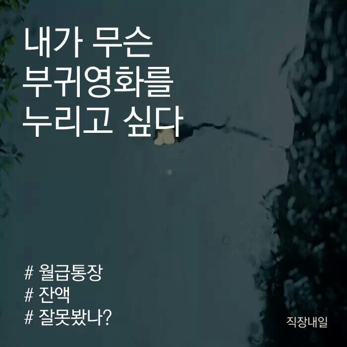  바람직한 취미생활에 대한 고찰 - 눈치제로
