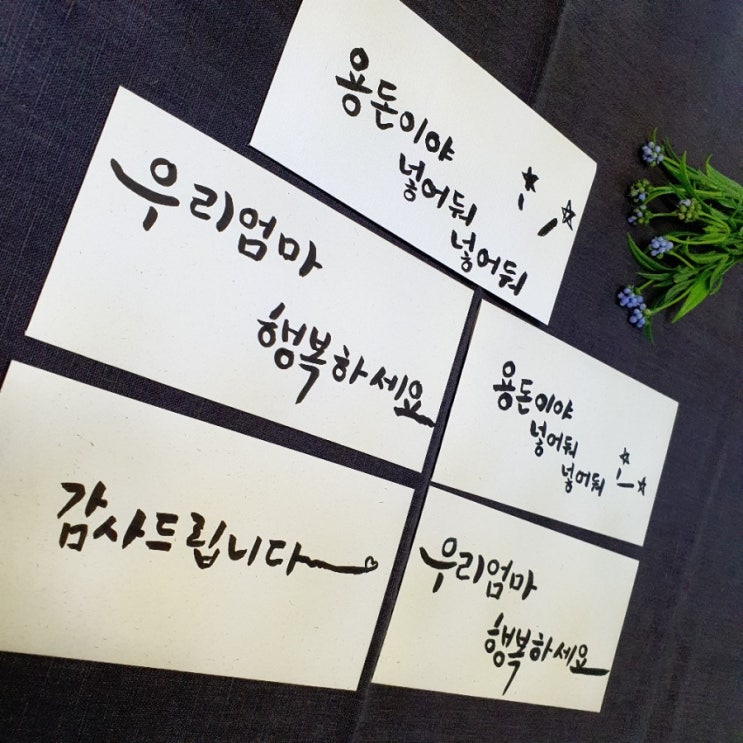  초보 캘리그라피 글씨체 연습하기