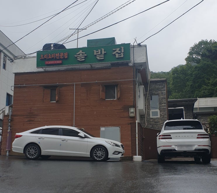  마산 양덕동 오리요리전문점 솔밭집