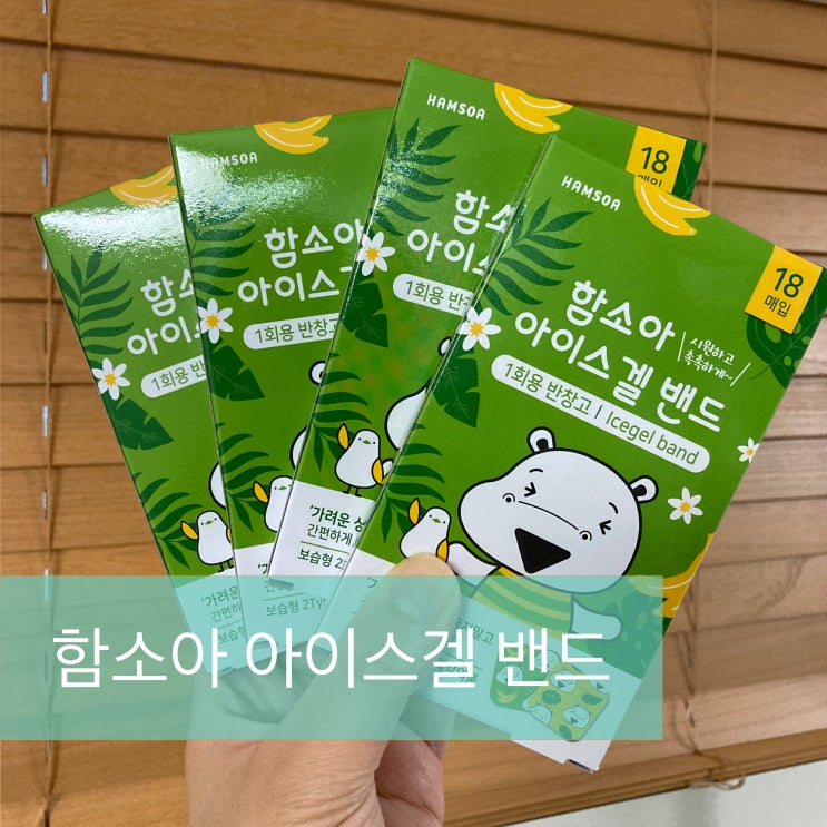  모기물렸다면 추천 아이스겔 밴드(feat.함소아)