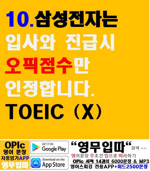 0810_토익 TOEIC 기출문제, 파트5,6 스피드 문제 풀이집 드립니다. 토익, TOEIC, 토익기출문제