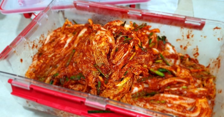  배추김치 맛있게 담그는방법 포기김치만들어 봤어요 배추김치10kg담가요
