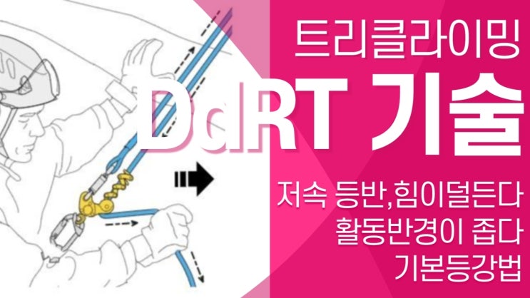  트리클라이밍 DdRT 등반기술 [트리클라이밍연구소]