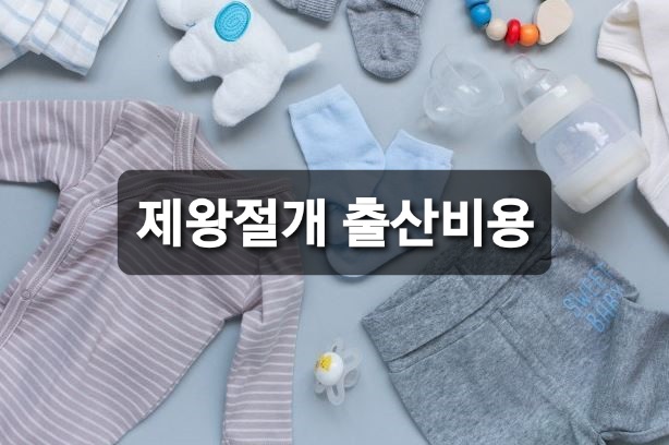  제왕절개 출산비용