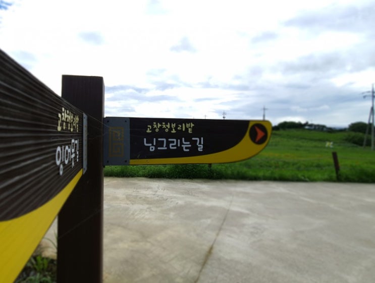 님 그리는 길 님 그리는 길