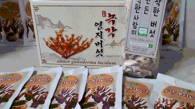 면역력에 좋은 녹각 영지버섯 건강즙 햇살담은버섯농원 면역력에 좋은 녹각 영지버섯 건강즙 햇살담은버섯농원