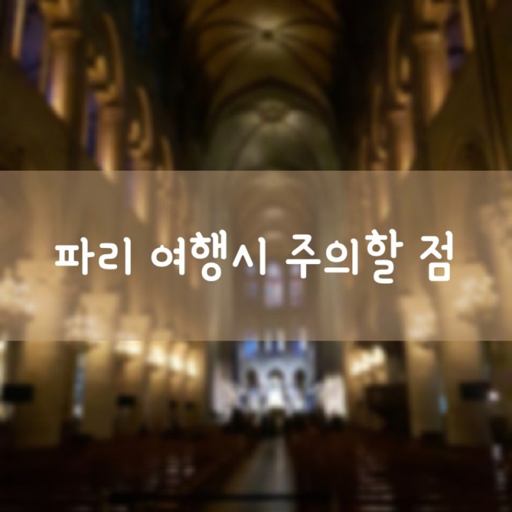 프랑스여행~파리 여행시 주의할점 (아이동반) 유럽여행 2탄