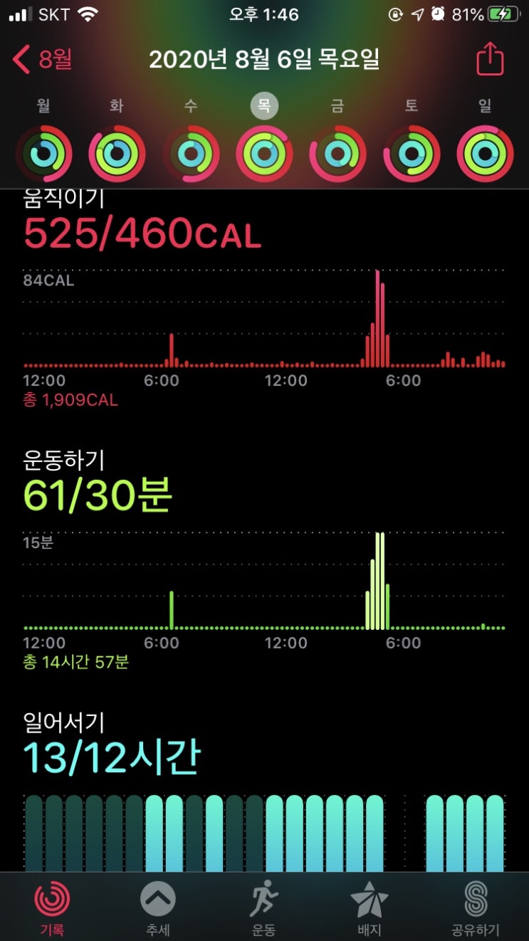  운동일지. 운동루틴. 팔굽혀펴기 40,41일차
