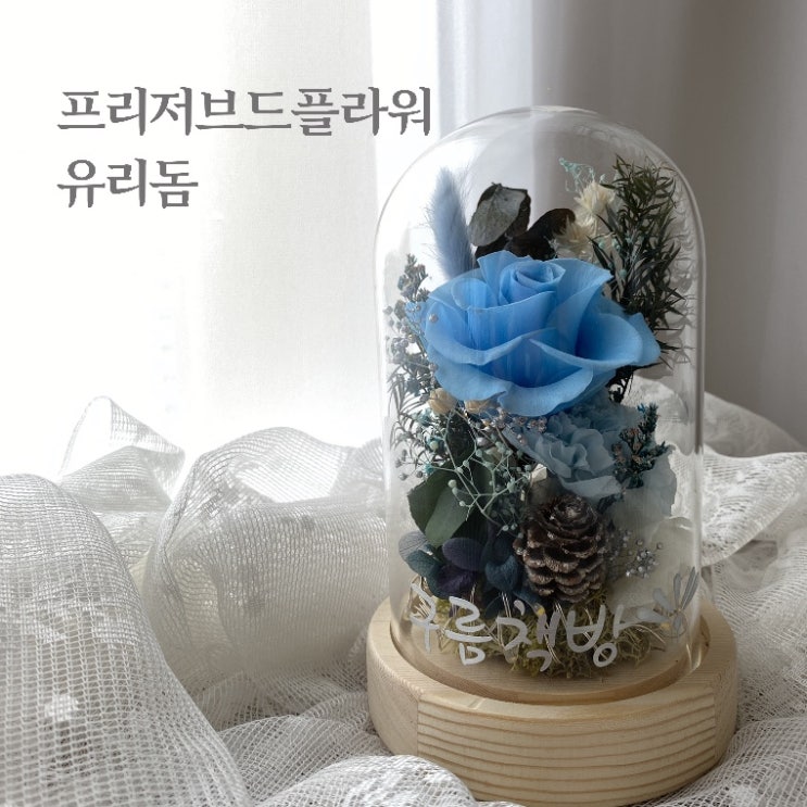  시들지 않는 생화, 프리저브드플라워 유리돔 소개 :: 부산 프리저브드플라워/드라이플라워 전문 스튜디오 오하나플라워