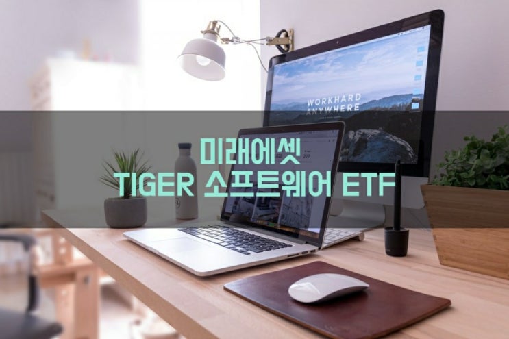  미래에셋 TIGER 소프트웨어 ETF - 개인연금, 퇴직연금 IRP