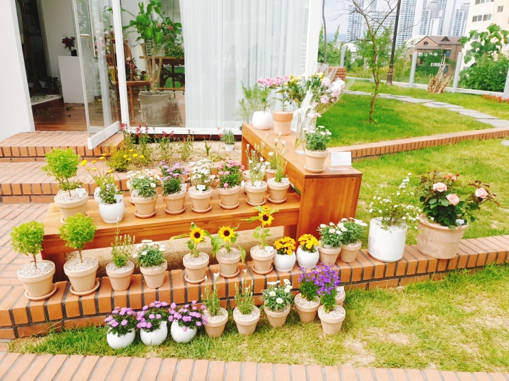  여기에 이런 곳이? 대구카페 핫플 대봉정
