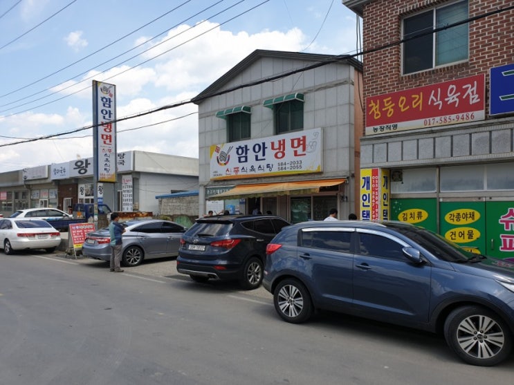  함안 맛집 함안냉면 (신풍식육식당)