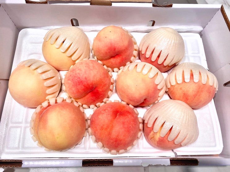  주말나들이 발자취️-메가박스(다만 악에서 구하소서), 생일 팝콘, 따릉이, 셀큐어 필링젤, 말랑이 복숭아