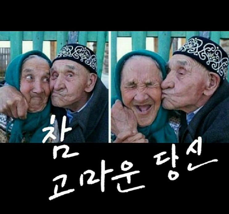  캘리그라피 그리고..