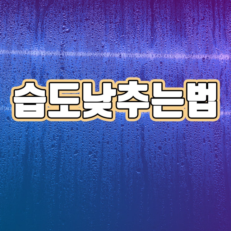  습도낮추법 알아보기