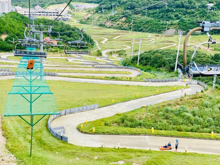 양산 가볼만한곳 루지 체험장에서 아이와 함께~