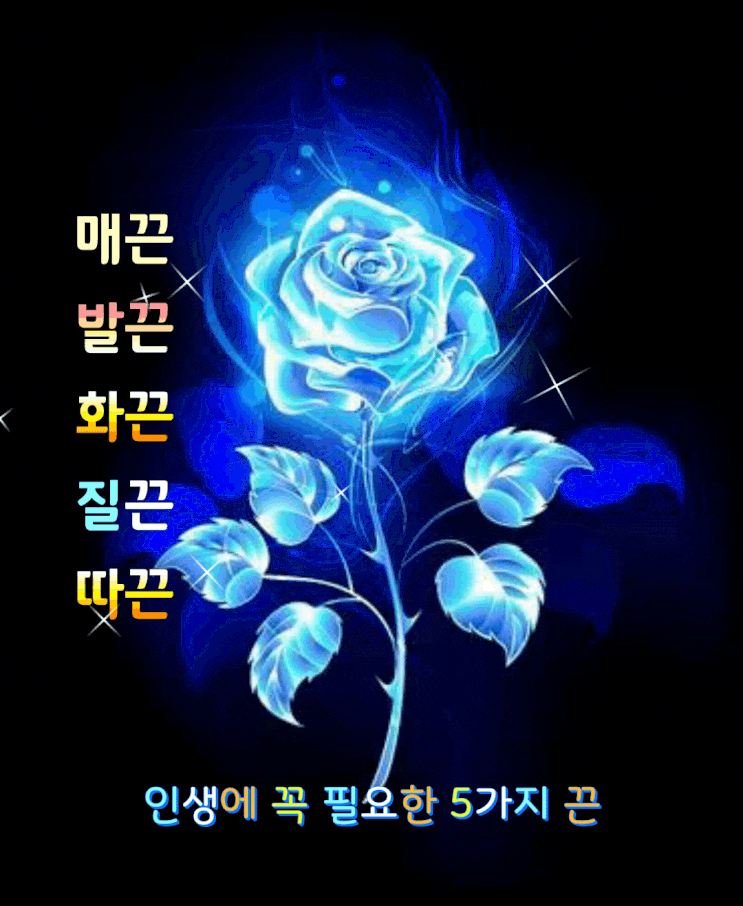  인생에 꼭 필요한 5가지 끈
