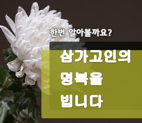  삼가고인의명복을빕니다 뜻 마침표 띄어쓰기 방법!