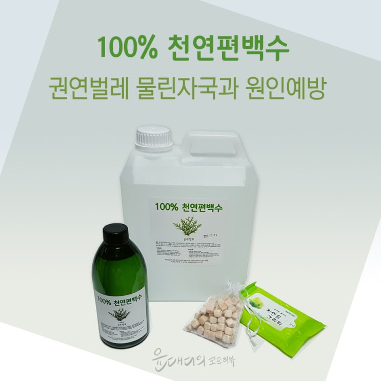  권연벌레 물린자국과 원인 피톤치드원액으로 알까지 퇴치하자